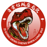 自贡队 自贡队